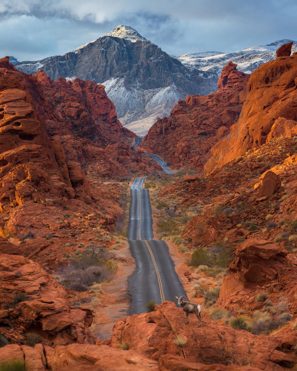 beautiful-shot-road-through-valley-fire-state-park-nevada